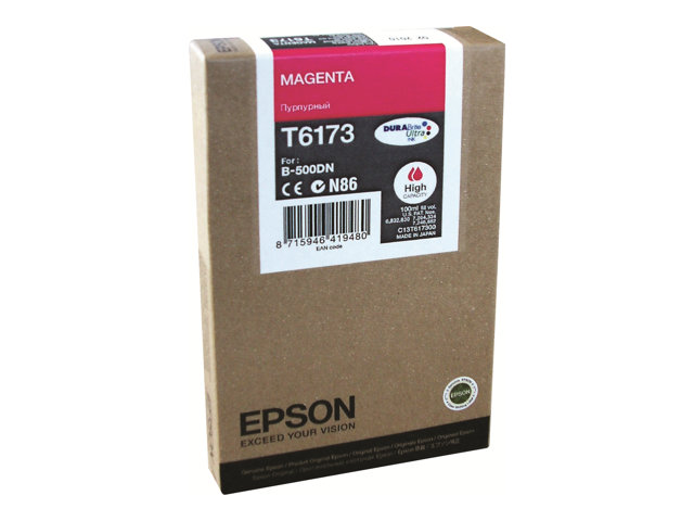 Cartuccia EPSON originale  C13T617300, T6173