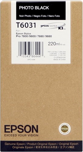Cartuccia EPSON originale  C13T603100, T6031