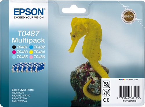 Cartuccia EPSON originale  C13T04874010, T0487