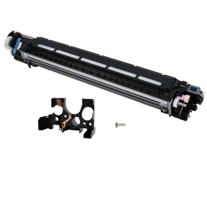 Cartuccia Developer Originale RICOH  D242-3061, D242-3065