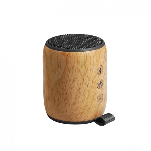 [EC64CGR-BWE1927] Wood Song 4.0 - bluetooth 